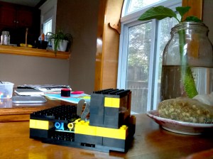 A camera made of legos! I've built two of these; the photo was taken with the _other_ raspberyy pi camera.